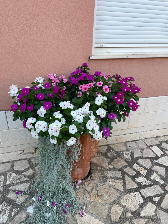 Apartman Jukic Hotel Marina Buitenkant foto