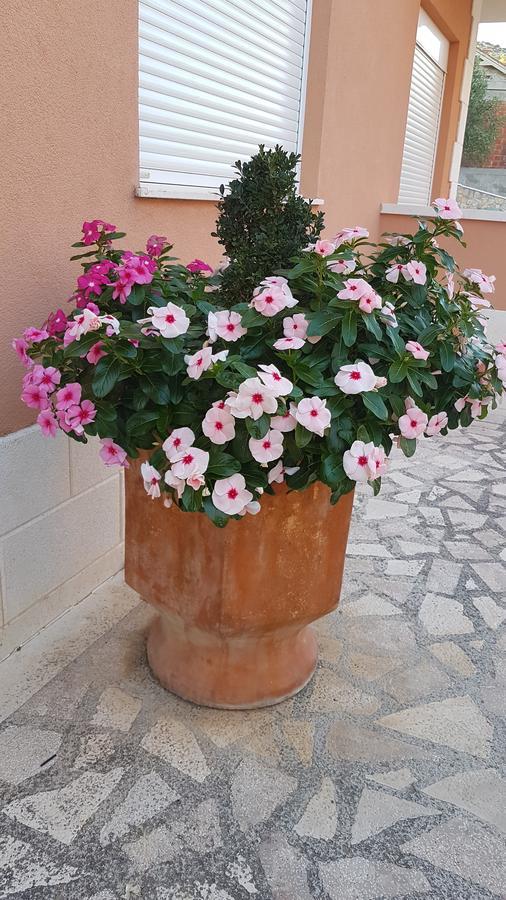 Apartman Jukic Hotel Marina Buitenkant foto